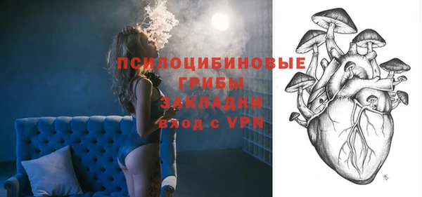 молекула духа Белоозёрский