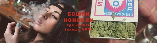 молекула духа Белоозёрский