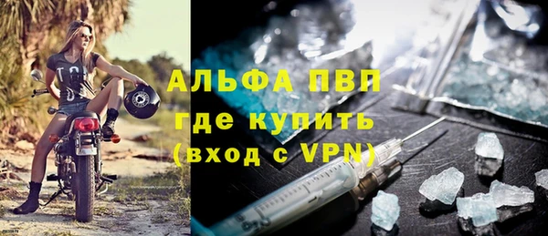 стаф Богородск