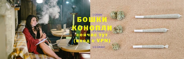 стаф Богородск